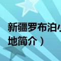 新疆罗布泊小河墓地（关于新疆罗布泊小河墓地简介）