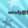 windy是什么意思（windy怎么造句）