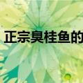 正宗臭桂鱼的做法（正宗臭桂鱼的做法介绍）