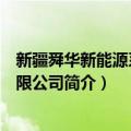 新疆舜华新能源系统有限公司（关于新疆舜华新能源系统有限公司简介）