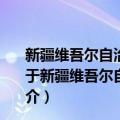 新疆维吾尔自治区实施《中华人民共和国档案法》办法（关于新疆维吾尔自治区实施《中华人民共和国档案法》办法简介）