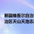 新疆维吾尔自治区天山天池志愿服务队（关于新疆维吾尔自治区天山天池志愿服务队简介）