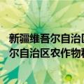 新疆维吾尔自治区农作物种子管理条例 修正（关于新疆维吾尔自治区农作物种子管理条例 修正简介）