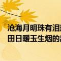 沧海月明珠有泪蓝田日暖玉生烟的意思（沧海月明珠有泪蓝田日暖玉生烟的出处）