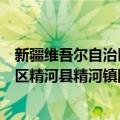 新疆维吾尔自治区精河县精河镇团委（关于新疆维吾尔自治区精河县精河镇团委简介）