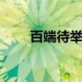 百端待举的意思（百端待举的解释）