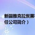 新疆雅克拉炭黑有限责任公司（关于新疆雅克拉炭黑有限责任公司简介）