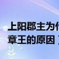 上阳郡主为什么嫁给豫章王（上阳郡主嫁给豫章王的原因）