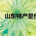 山东特产是什么（他们各自的特色是什么）