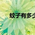 蚊子有多少颗牙齿（蚊子有22颗牙齿）