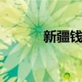 新疆钱币（关于新疆钱币简介）