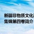 新疆非物质文化遗产集锦第四卷（关于新疆非物质文化遗产集锦第四卷简介）