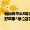 新疆野苹果S等位基因的遗传多样性和进化研究（关于新疆野苹果S等位基因的遗传多样性和进化研究简介）