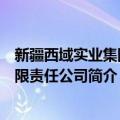 新疆西域实业集团有限责任公司（关于新疆西域实业集团有限责任公司简介）