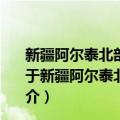 新疆阿尔泰北部山区原生金矿综合研究和找矿靶区优选（关于新疆阿尔泰北部山区原生金矿综合研究和找矿靶区优选简介）