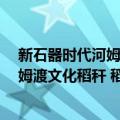 新石器时代河姆渡文化稻秆 稻叶 稻谷（关于新石器时代河姆渡文化稻秆 稻叶 稻谷简介）