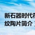 新石器时代符号纹陶片（关于新石器时代符号纹陶片简介）