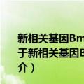 新相关基因Bmi-1在大肠癌肝转移中的作用及机制研究（关于新相关基因Bmi-1在大肠癌肝转移中的作用及机制研究简介）