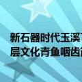 新石器时代玉溪下层文化青鱼咽齿（关于新石器时代玉溪下层文化青鱼咽齿简介）