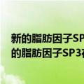 新的脂肪因子SP3在脂肪分化中的作用及机制研究（关于新的脂肪因子SP3在脂肪分化中的作用及机制研究简介）