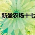 新盈农场十七队（关于新盈农场十七队简介）