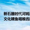 新石器时代河姆渡文化鲤鱼咽喉齿（关于新石器时代河姆渡文化鲤鱼咽喉齿简介）