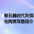 新石器时代灰良渚文化陶贯耳壶（关于新石器时代灰良渚文化陶贯耳壶简介）