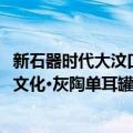 新石器时代大汶口文化·灰陶单耳罐（关于新石器时代大汶口文化·灰陶单耳罐简介）