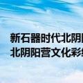 新石器时代北阴阳营文化彩绘泥质红陶簋（关于新石器时代北阴阳营文化彩绘泥质红陶簋简介）