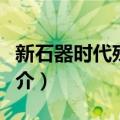 新石器时代残石锛（关于新石器时代残石锛简介）