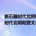 新石器时代北阴阳营文化彩绘泥质红陶带流罐（关于新石器时代北阴阳营文化彩绘泥质红陶带流罐简介）