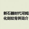 新石器时代河姆渡文化刻纹骨笄（关于新石器时代河姆渡文化刻纹骨笄简介）