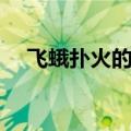 飞蛾扑火的故事（飞蛾扑火的故事介绍）