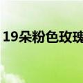 19朵粉色玫瑰花代表什么意思（有什么寓意）