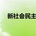 新社会民主党（关于新社会民主党简介）