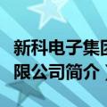 新科电子集团有限公司（关于新科电子集团有限公司简介）