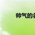 帅气的名字（沉稳帅气名字大全）