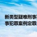 新类型疑难刑事犯罪案例定罪量刑点评（关于新类型疑难刑事犯罪案例定罪量刑点评简介）