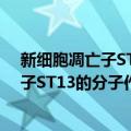 新细胞凋亡子ST13的分子作用机制研究（关于新细胞凋亡子ST13的分子作用机制研究简介）