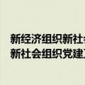 新经济组织新社会组织党建工作经验汇编（关于新经济组织新社会组织党建工作经验汇编简介）