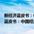 新经济蓝皮书：中国经济增长动能转换新活力（关于新经济蓝皮书：中国经济增长动能转换新活力简介）