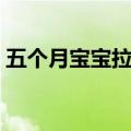 五个月宝宝拉稀怎么办（四种方法帮你治疗）