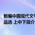 新编中国现代文学作品选 上中下（关于新编中国现代文学作品选 上中下简介）