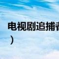 电视剧追捕者全部演员表（列出如下四名演员）