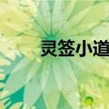 灵签小道士（关于灵签小道士介绍）