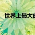 世界上最大的龟（世界上最大的龟是什么）