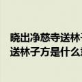 晓出净慈寺送林子方这首诗的作者是什么意思（晓出净慈寺送林子方是什么意思）