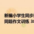 新编小学生同步同题作文训练 3年级（关于新编小学生同步同题作文训练 3年级简介）