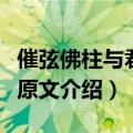 催弦佛柱与君饮下句是什么（催弦佛柱与君饮原文介绍）