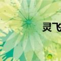 灵飞传（关于灵飞传介绍）